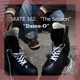 Skate 102 The Session