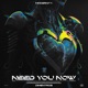Need You Now Single