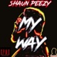 My Way Single