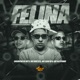 Felina feat Encontro de MC s Single