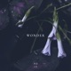 Wonder Single