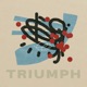 Triumph Single