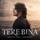 Tere Bina Single
