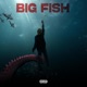 Big Fish Single