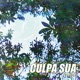 Culpa Sua Single