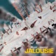 Jalousie Single feat Samarino Single