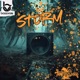 The Storm