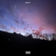 SHORTCUT Single