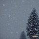 Winter 2023 Single