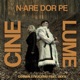 CIne n are dor pe lume feat Ukka Single
