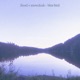 Blue Bird feat Snowcloak Single