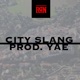 CITY SLANG Single