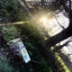 Cheerios In the Sun Single