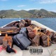 NEVER DID PLAY feat CHXPO Single