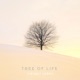 Tree of Life Root Chakra Single