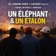 Un Éléphant Un Étalon feat Cassidy Monsaii Chaka Skyness Single