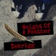 Weight Of A Feather Studio Single