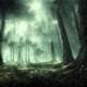 Lost Single