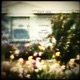 Perseverance Gardening feat Jarboe Thor Harris Single