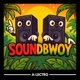 Soundbwoy Single