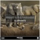 Elephants Single