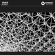 Bones Single