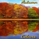 Autumn Colours Single