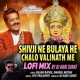 Shivji Ne Bulaya He Chalo Valinath Me Lofi Mix Single