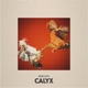 Calyx EP