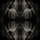 Tonal Live Impro Single