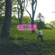 Detour Single