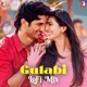 Gulabi LoFi Mix Single