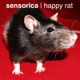 Happy Rat Single