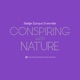 Conspiring with Nature Single