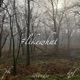 likewhat feat DPF Single