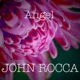 Angel Single