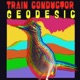 Geodesic