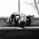 Stalker Single