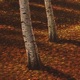 Birchvale Single