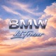 BMW Single