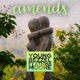 Amends Single