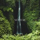 Nurture Single