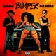 Bumper Single