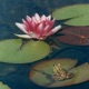 Buoyant EP