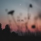 Dusk Single