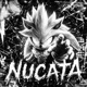 NUCATA EP