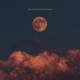 Nocturne Single