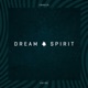 Dream Spirit Single