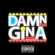 Damn Gina Single