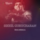 Ragamala Live feat Arshad Khan Amaan Ali Khan Anil Srinivasan EP